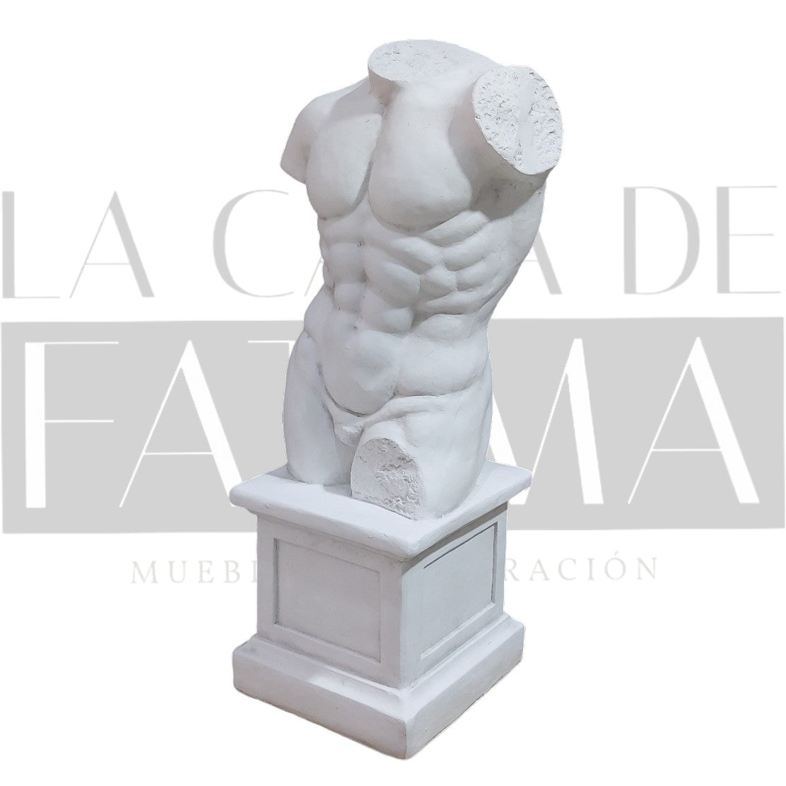 Figura Torso Masculino