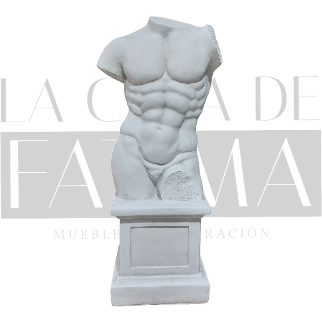 Figura Torso Masculino