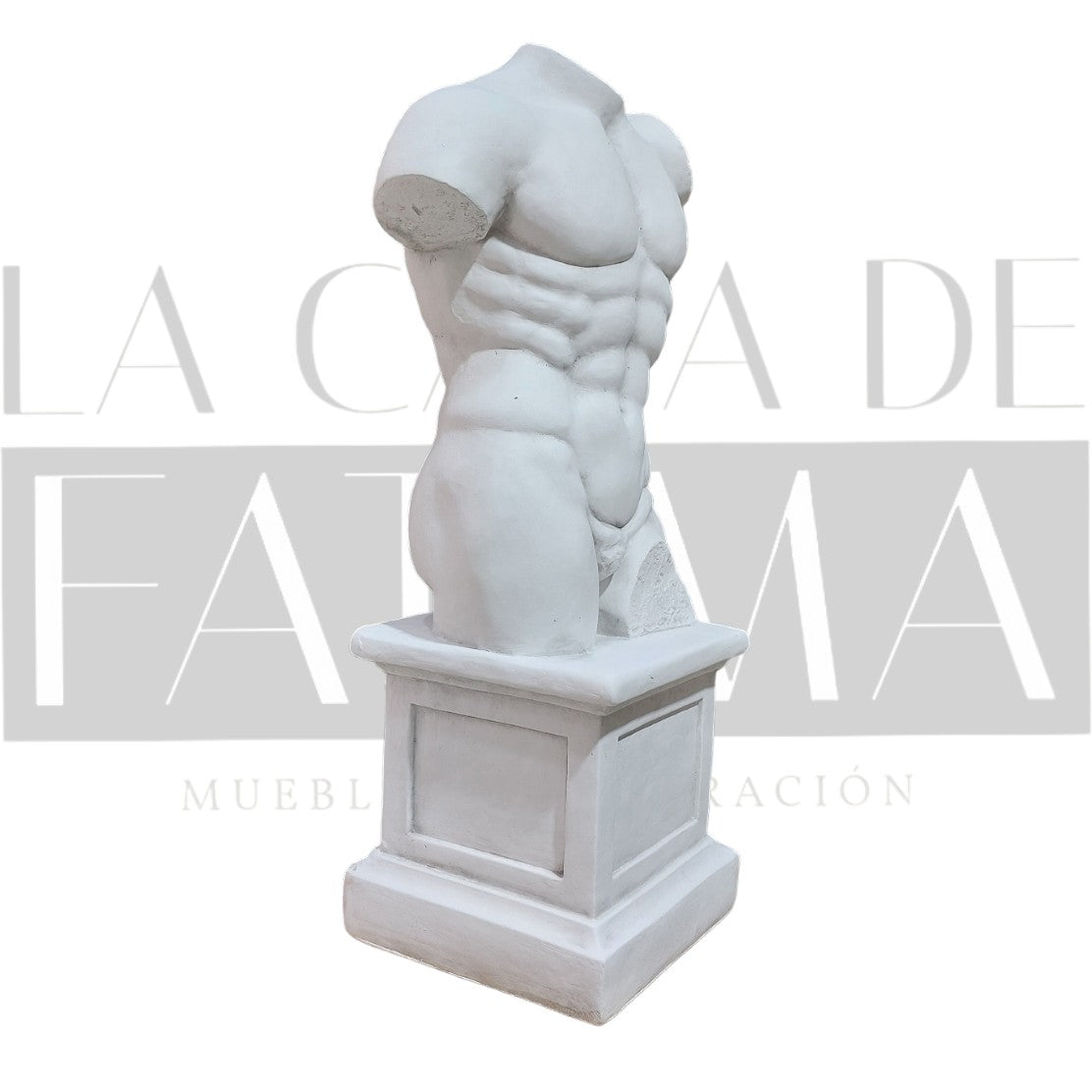 Figura Torso Masculino