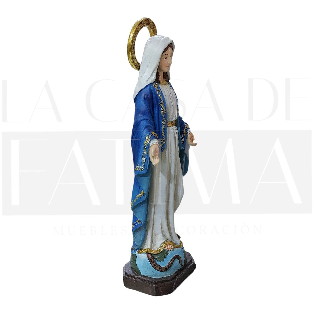 Imagen de la Virgen María Inmaculada